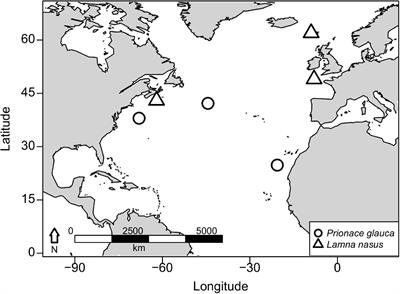 Compound-Specific Stable Isotope Analysis of Amino Acids in Pelagic Shark Vertebrae Reveals Baseline, Trophic, and Physiological Effects on Bulk Protein Isotope Records